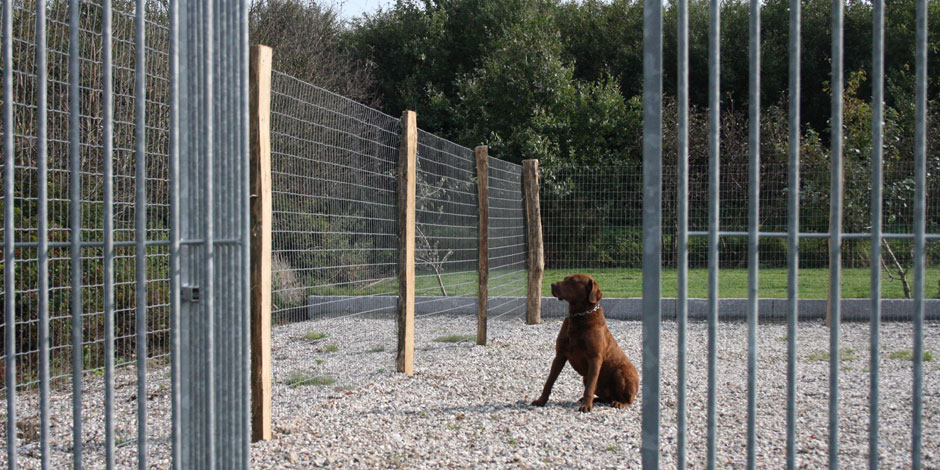 Løbegårde til hunde