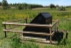 Farmland lægter på Økopæle®